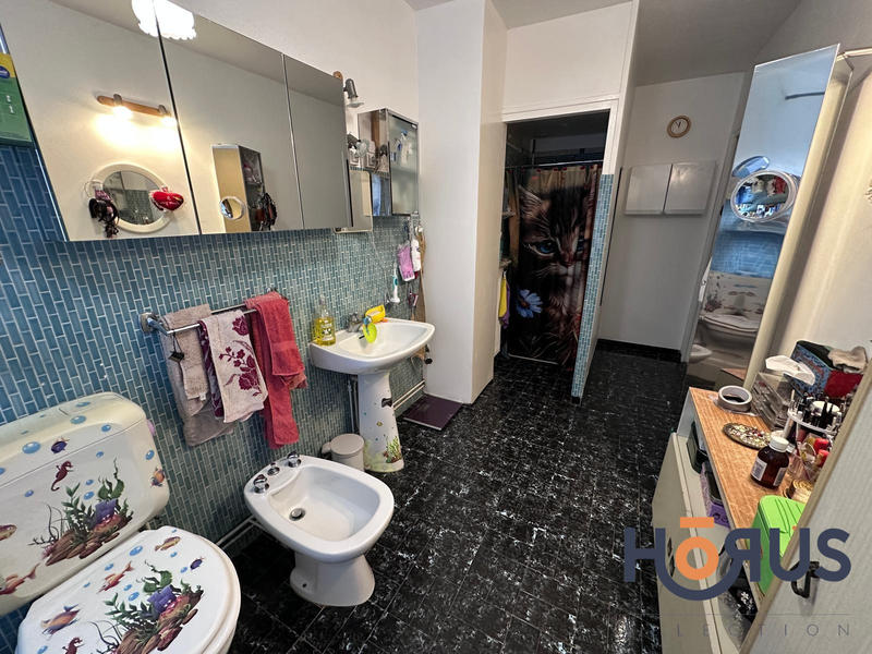 Viager - Maison - 175 m² - 7 pièces