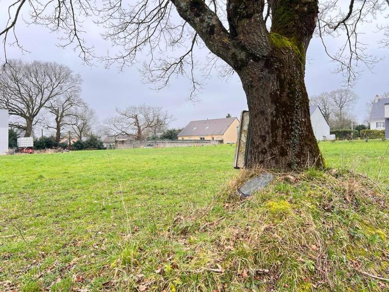 Terrain constructible - 667 m²