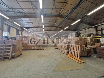 Entrepôt - 1 077 m²