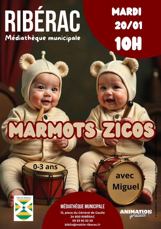 Marmots Zicos