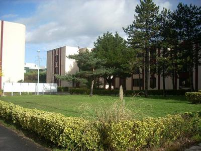 Studio - 15 m² - 1 pièce