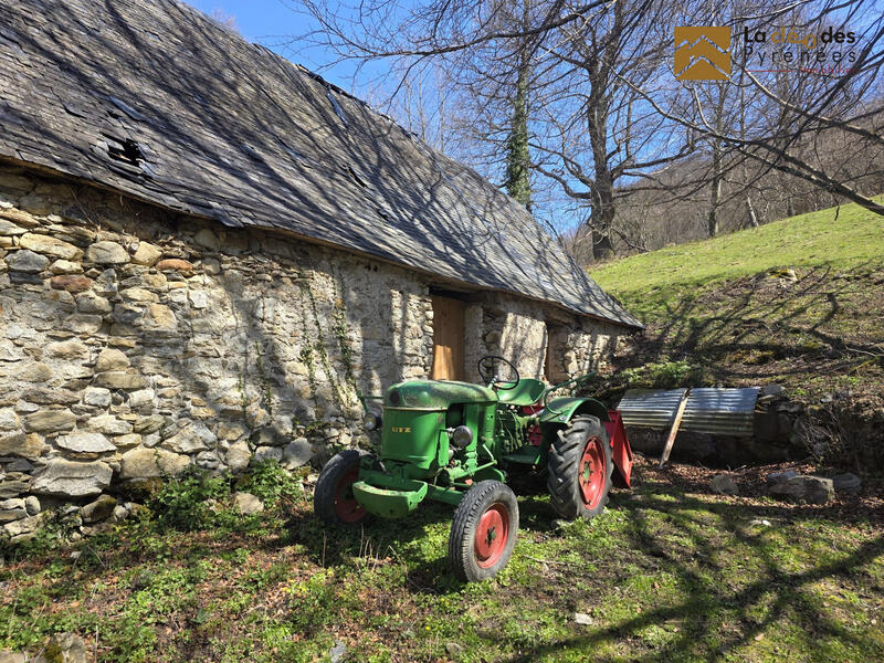 Maison ancienne - 100 m² - 1 pièce