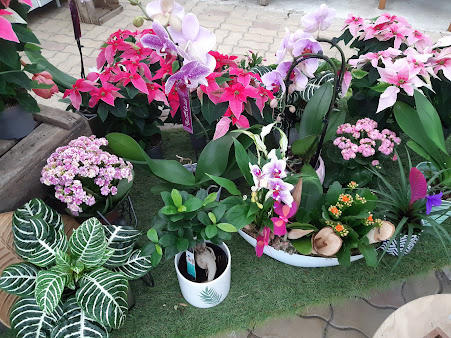 Aux Serres Hermitoises