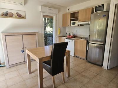 Studio - 31 m² - 1 pièce