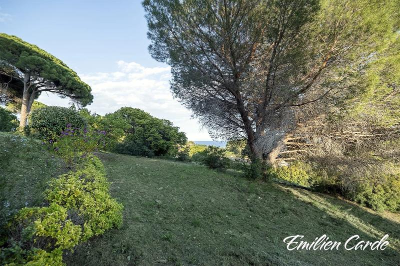 Terrain - 1 871 m²