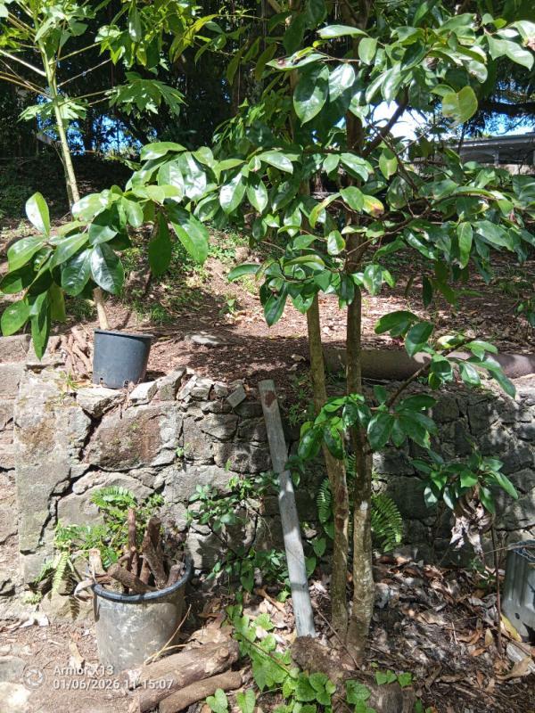 Terrain constructible - 840 m²