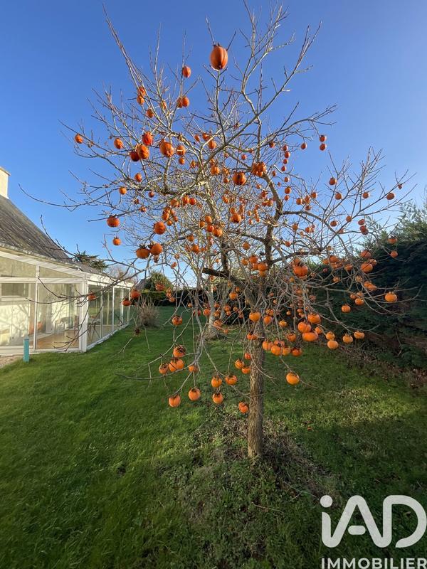 Maison - 126 m² - 5 pièces