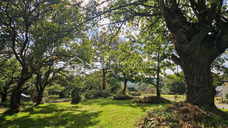 Maison d'architecte - 151 m² - 6 pièces