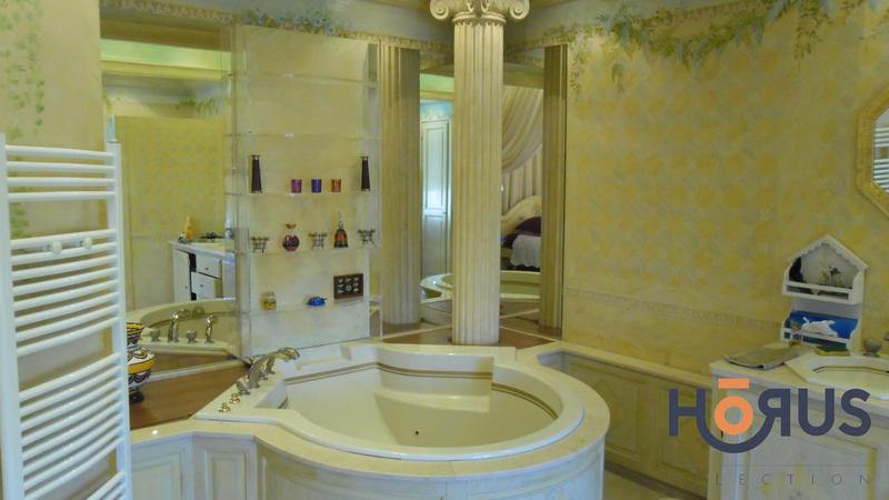 Viager - Maison - 382 m² - 13 pièces