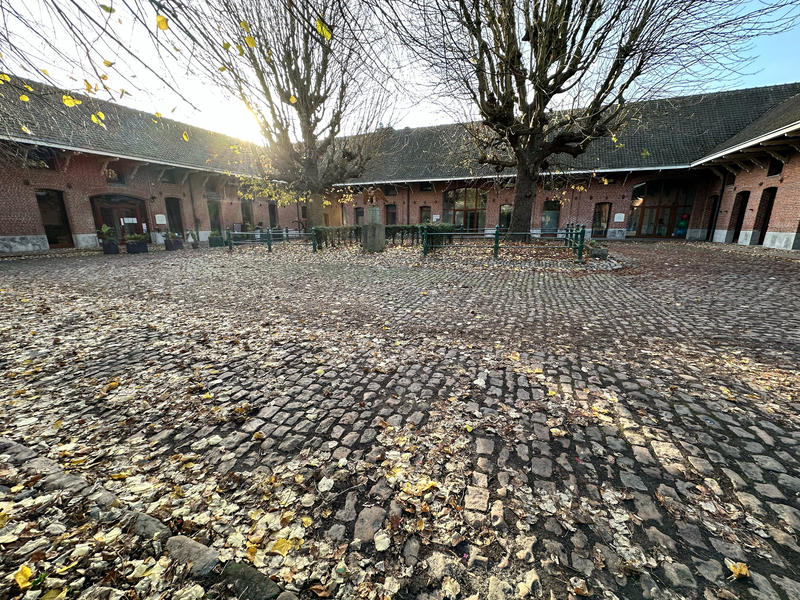 Local d'activités - 500 m²