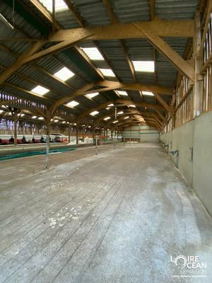 Entrepôt - 3 600 m²