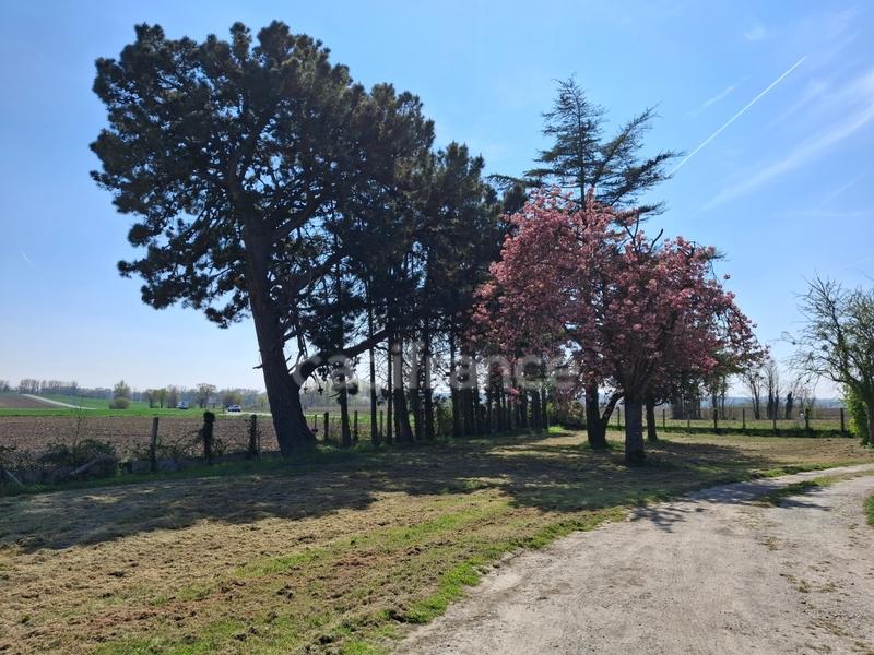 Maison en pierre - 100 m² - 6 pièces