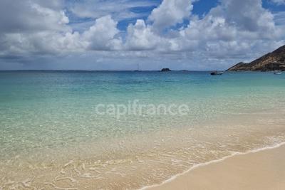 Terrain constructible - 1 703 m²