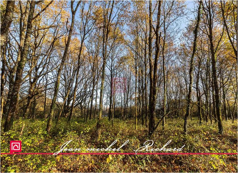 Étang - 166 990 m²