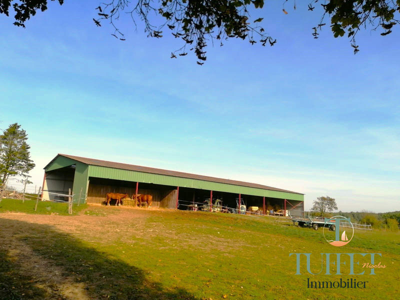 Maison - 274 m² - 9 pièces