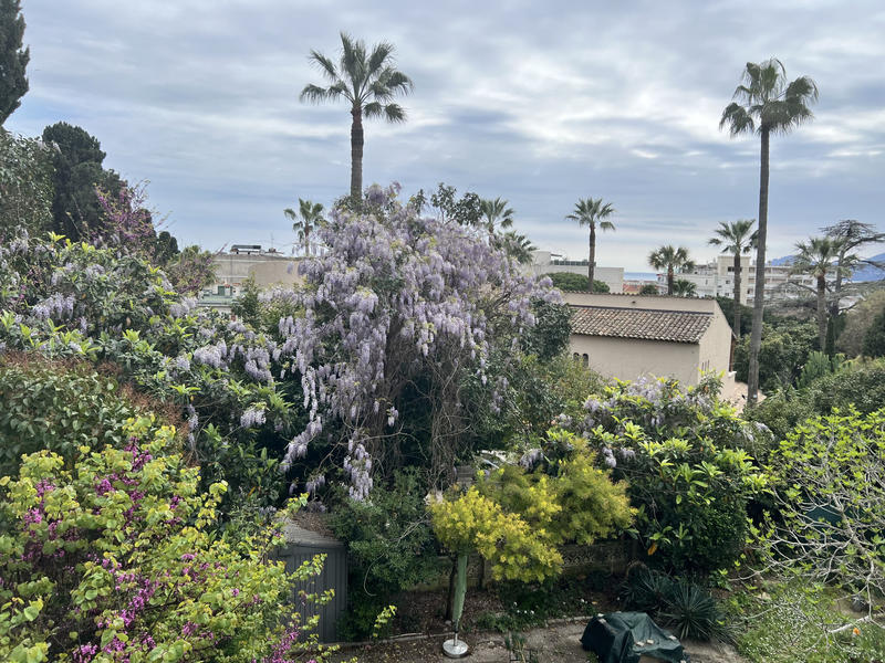 Appartement - 38 m² - 3 pièces