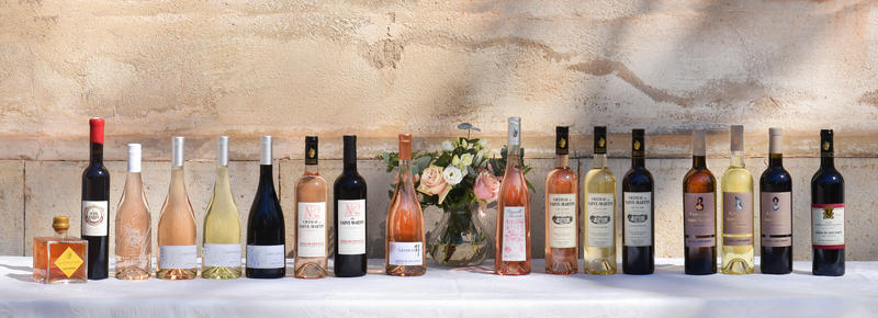 Château de Saint-Martin