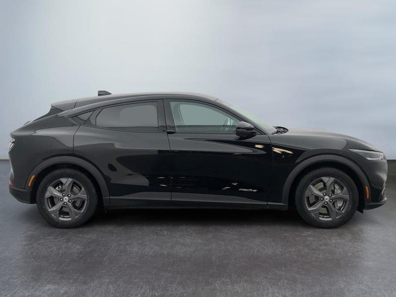 Ford Mustang Mach-E Standard Range 76 kWh 269 ch