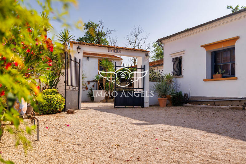 Mas - 575 m² - 21 pièces