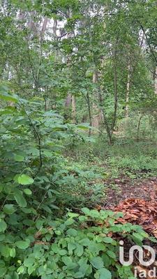 Maison - 141 m² - 5 pièces