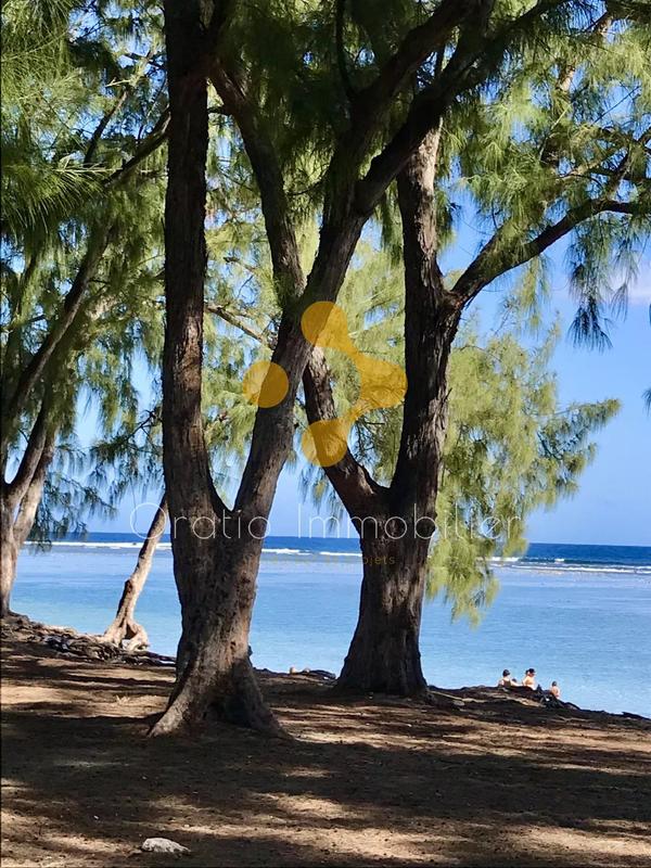 Appartement - 54 m² - 2 pièces