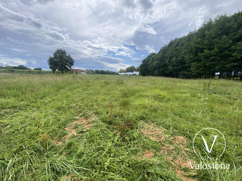 Terrain - 3 700 m²
