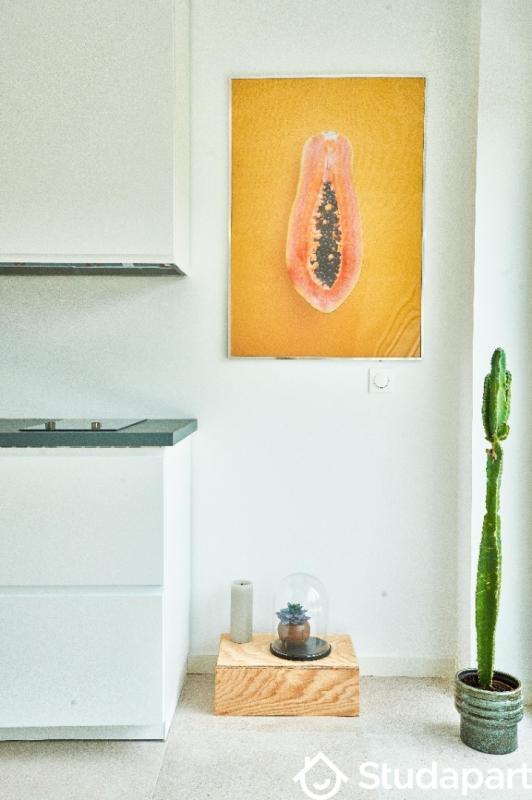 Maison - 30 m² - 2 pièces