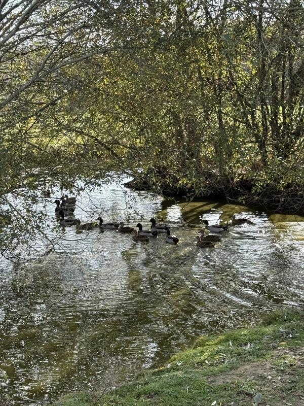 Maison de village - 250 m² - 12 pièces