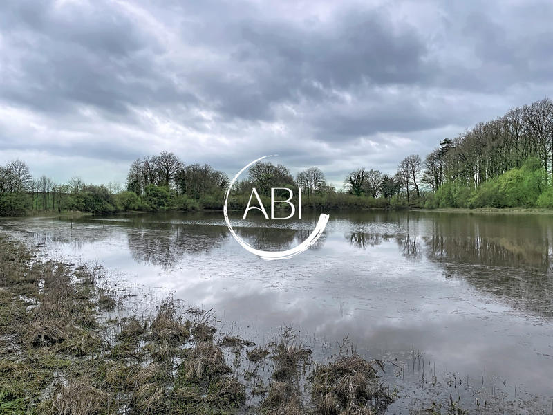 Terrain de loisirs - 71 490 m²