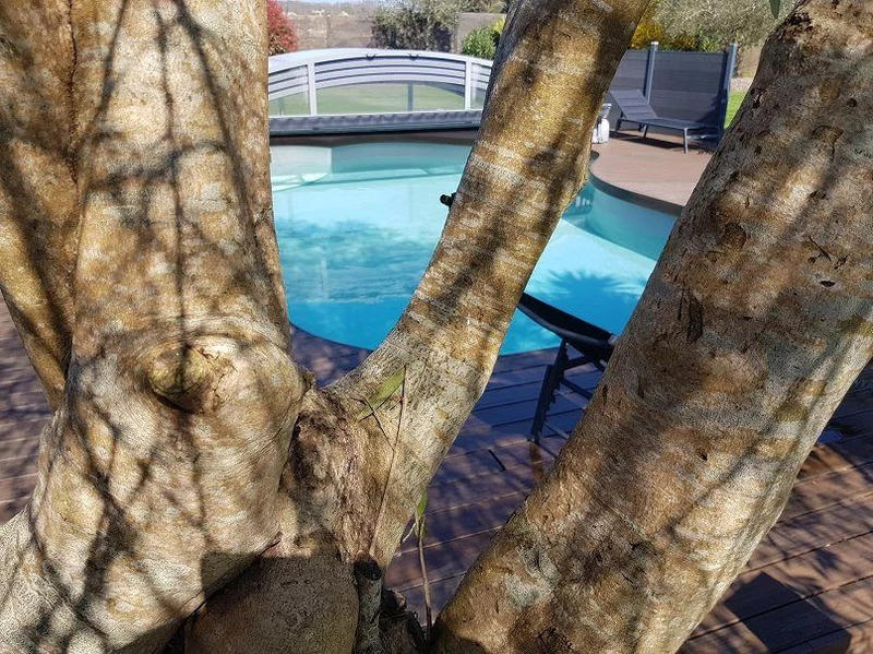 Maison - 268 m² - 7 pièces