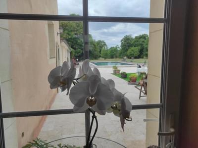 Maison - 460 m² - 18 pièces