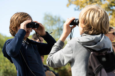 A vos jumelles, prêts? Observez!