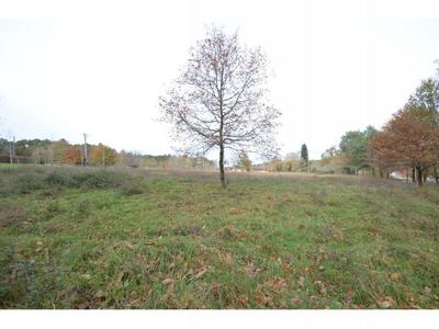 Terrain constructible - 4 424 m²