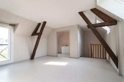 Appartement ancien - 50 m² - 1 pièce