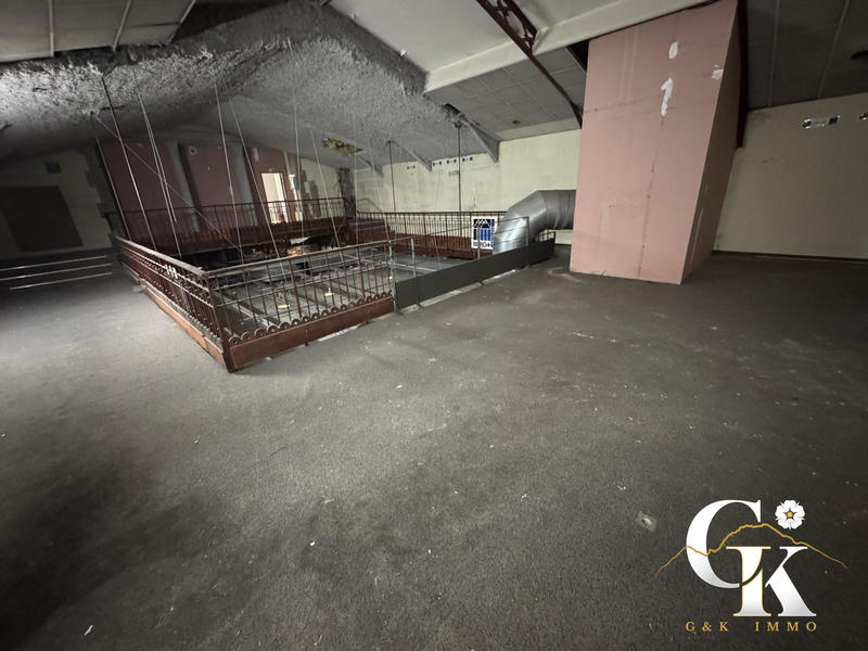 Local commercial - 1 172 m² - 11 pièces