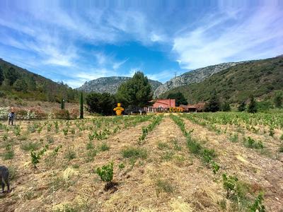 Maison - 178 m² - 6 pièces