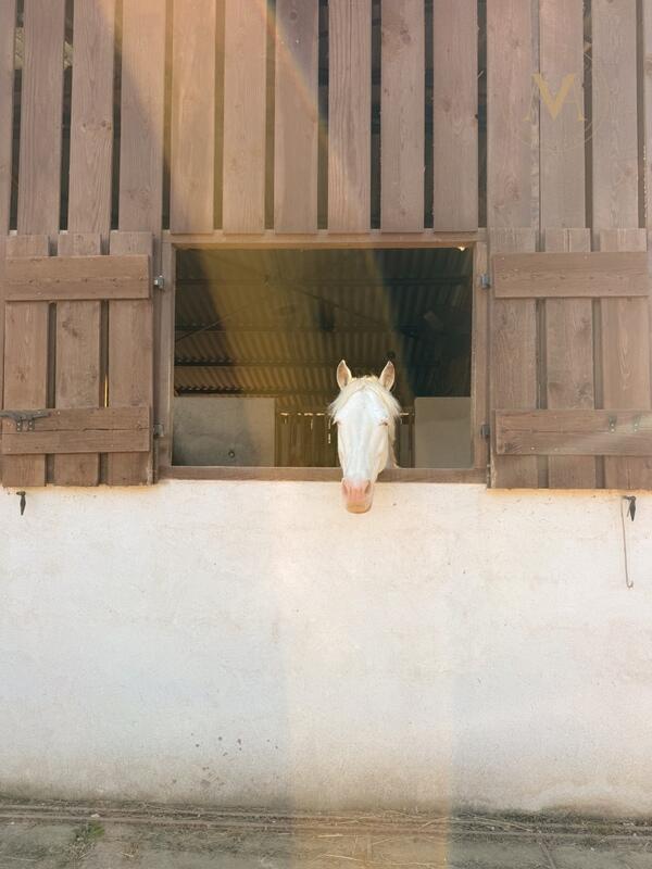 Propriété - 485 m² - 15 pièces