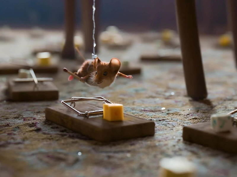 Film - Panique à Noël