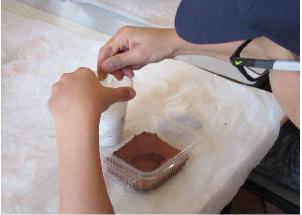 Atelier : les mystères de la fossilisation