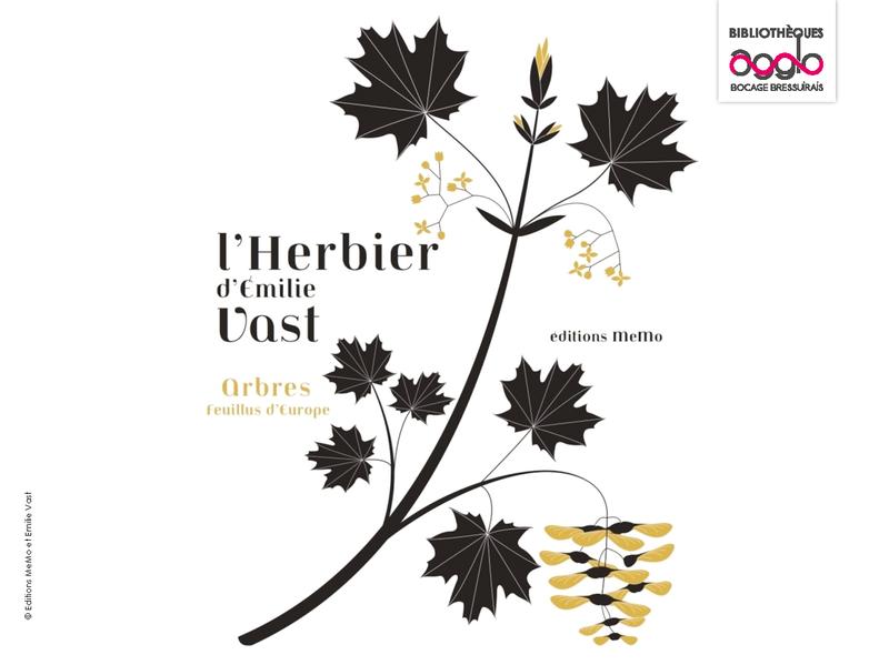 Exposition - les herbiers d'Emilie Vast