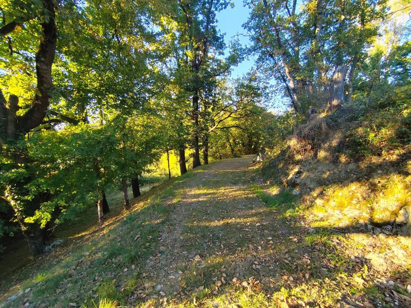 Terrain agricole - 219 900 m²