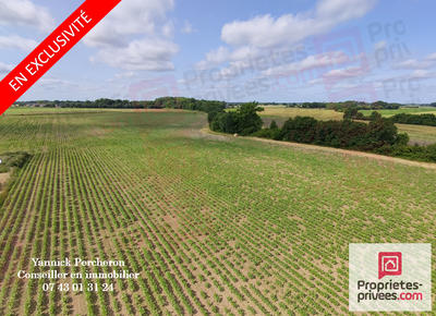 Terrain agricole - 50 000 m²