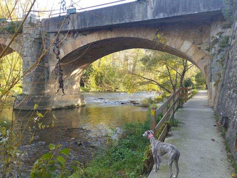 Maison - 118 m² - 4 pièces