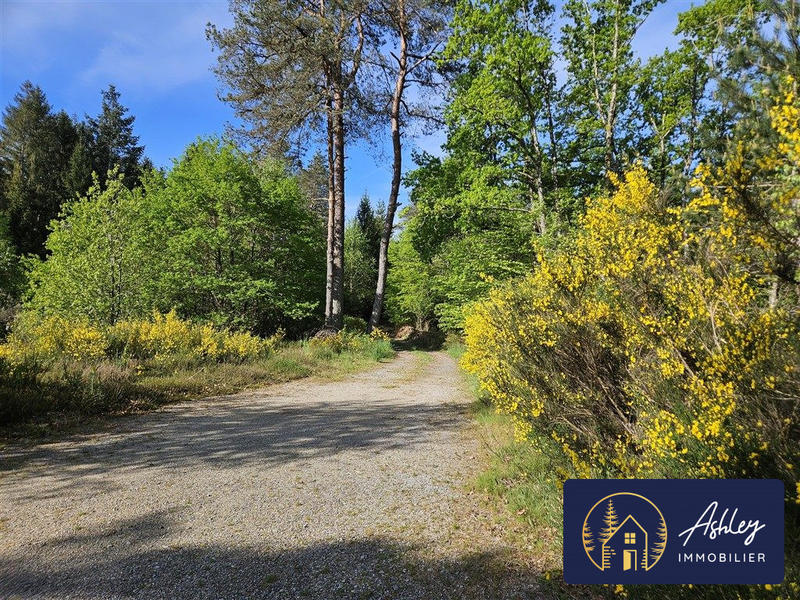 Maison - 124 m² - 5 pièces