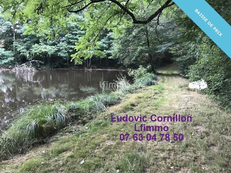 Propriété - 210 m² - 8 pièces