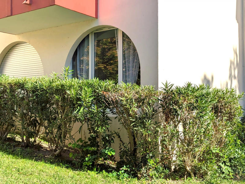 Appartement - 16 m² - 1 pièce