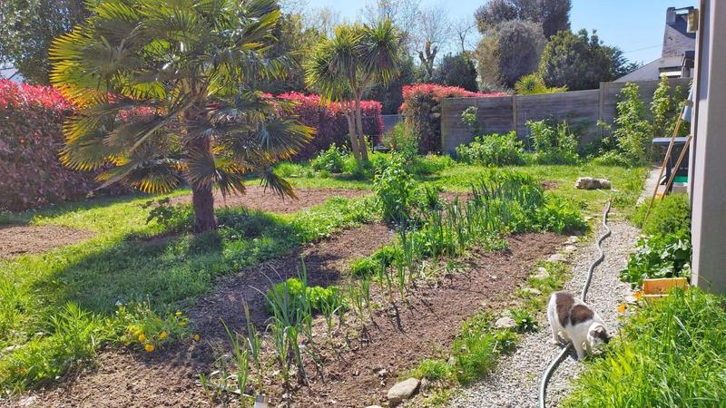 Maison - 97 m² - 4 pièces