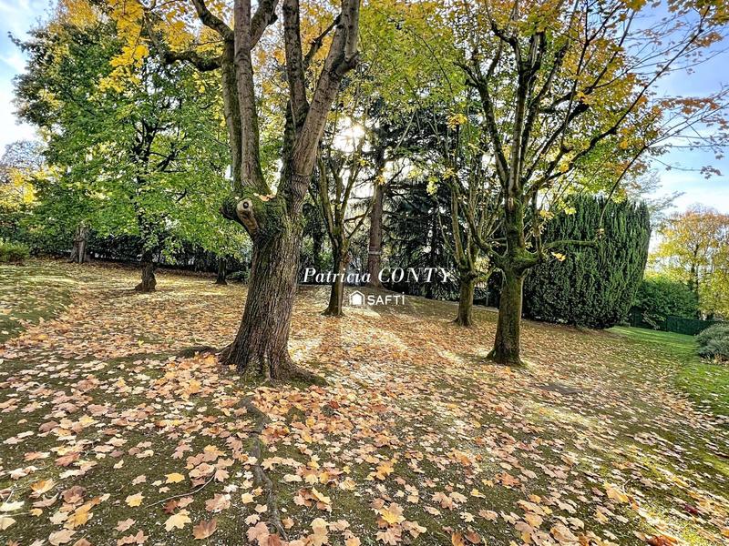 Appartement - 50 m² - 3 pièces