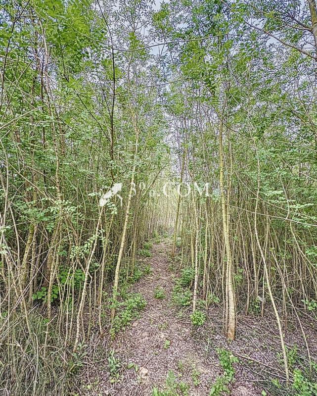 Terrain de loisirs - 4 558 m²