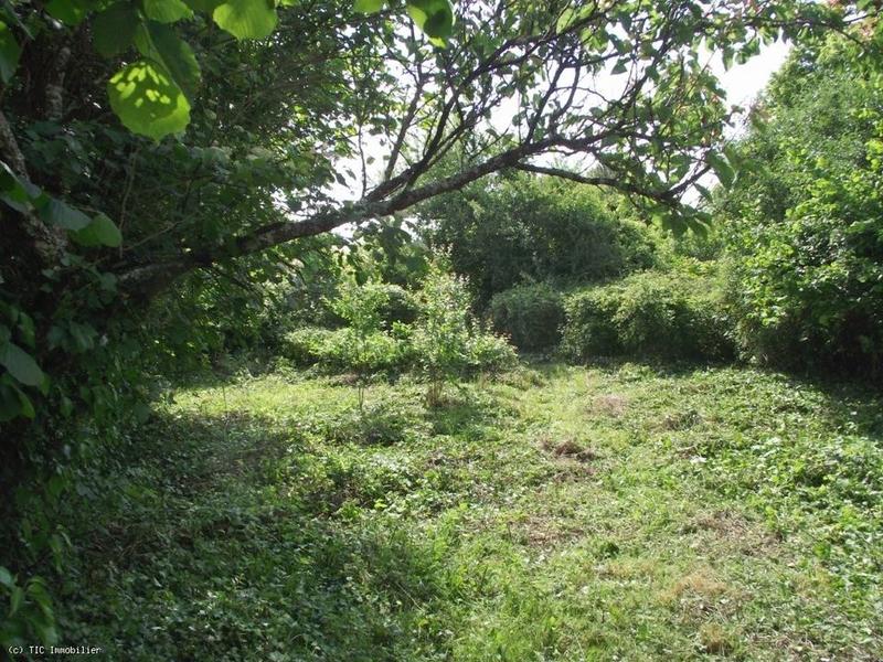 Terrain constructible - 1 271 m²